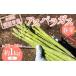 fu.... налог овощи вид спаржа Yamagata префектура юг . город . мир 8 год производство предшествующий предварительный заказ спаржа ( весна .) примерно 1kg (2L размер примерно 25~30шт.@ передний и задний (до и после) ) {. мир 8 год 5 месяц сверху .~ отправка }...