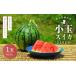 fu.... налог арбуз Kumamoto префектура Kumamoto город сверху . сельское хозяйство . маленький шар ... примерно 2.5kg 1 шар .....2026 год 4 месяц сверху .~4 месяц последняя декада до последовательный отправка предположительно весна арбуз растение арбуз запад . фрукты ....