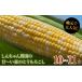fu.... tax Shizuoka prefecture forest block great popularity!.. Chan agriculture .. .~. forest. corn (10~11 pcs insertion .)