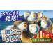 fu.... налог Sazae Kanagawa префектура Yokosuka город все 3 раз установленный срок рейс Sazae 1kg 6~10 шт три . половина остров ... барбекю BBQ. прямая поставка .. жарение .. длина рыба моллюски морепродукты морепродукты...