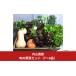 fu.... налог комплект *... Niigata префектура три статья город .. овощи комплект (7~8 товар ) сезон. овощи ... внутри гора сельское хозяйство .011S166