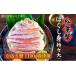 fu.... tax Kyoto (metropolitan area) . Tsu city pine leaf .....( Special . large ) *...1100g class use [ peeling ... pine leaf gani snow crab crab crab domestic production ][No.5716-0620]