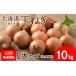 �ӂ邳�Ɣ[�� ��ؗ� �ʂ˂� �k�C�� ��Ύs  ��s�\�� �ʂ˂� 10kg L��T�C�Y �k�C�� ��Ύs�Y �Â� ���܂˂� ��� �① �^�}�l�M ��t�[�h�u���b�W