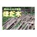 fu.... налог Hokkaido новый выгода блок Y-1501. дерево .... культивирование древесина ( 2 шт )