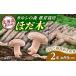 fu.... налог овощи вид .. . Hokkaido новый выгода блок . дерево .... культивирование древесина 2 шт |. такой же фирма karusiBNAU004 огород .. шиитаке ....shiitake.. . овощи...