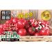 fu.... налог помидор мини помидоры префектура Аичи . юг город 2026 год отправка удар. один шарик чудесный вишня мини помидоры ( маленький ..) примерно 750g(250g×3 упаковка ) сомелье summit золотой...