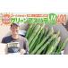 fu.... налог овощи вид спаржа Fukuoka префектура большой дерево блок ограниченное количество предшествующий предварительный заказ LM размер 400g пробный размер утро .. утро .. прямая поставка зеленый спаржа aspala2 месяц ~6...