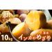 fu.... налог овощи вид картофель Hokkaido . двор город { ограниченное количество } новый ... in ka. ... смешивание размер 10kg | Hokkaido овощи овощи картофель jagaimo клубень .....