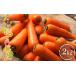 fu.... налог овощи вид морковь Gunma префектура . холм город предшествующий предварительный заказ .. гора. . морковь 2kg свежий еда овощи морковь человек Gin иметь машина удобрение ... предмет ..... ваш заказ Gunma...