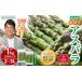 fu.... налог овощи вид спаржа Hokkaido Asahikawa город 2026 год предшествующий предварительный заказ . земля предмет утро ..aspala свежесть гарантия . плёнка ввод 2~3L 500g×2 всего 1kg(5 месяц средний . отправка начало ....