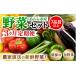fu.... налог комплект *... Fukui префектура ... город 3 месяцев продолжение доставка сельское хозяйство дом прямая поставка .. овощи комплект 7 товар и больше 1 коробка | установленный срок рейс 3 раз сезон овощи box BOX комплект selection...