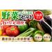 fu.... налог комплект *... Fukui префектура ... город 6 месяцев продолжение доставка сельское хозяйство дом прямая поставка .. овощи комплект 7 товар и больше 1 коробка | установленный срок рейс 6 раз сезон овощи box BOX комплект selection...