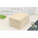 դ뤵Ǽ 롦 Х   ߥ˥Х 5ʥ١ 40cm120cm 500 ¤  ե ʾ Х