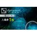 fu.... налог входной билет * пригласительный билет Kumamoto префектура лампочка ..FKP9-615 лампочка Izumi . входить место билет ( в общем course ) 1 листов ..... камень земля внизу туристический природа 