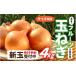 fu.... налог овощи вид шар лук порей Hyogo префектура - предшествующий предварительный заказ новый шар фрукты шар лук порей 4kg размер различный 2026 год 3 месяц средний . примерно .. последовательный отправка предположительно | новый шар лук порей tama лук-батун Awaji Island. шар лук порей...
