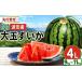 fu.... налог арбуз Nagano префектура Matsumoto город предшествующий прием :2026 год отправка Matsumoto город волна рисовое поле производство большой шар ...4L(9kg~11kg)I Shinshu Matsumoto город Nagano префектура запад .... фрукты большой шар арбуз f...