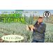 fu.... налог овощи вид лук порей Gunma префектура внизу . рисовое поле блок ... вызывающий чувство гордости внизу . рисовое поле .(L размер 20шт.@)...... лук порей лук-батун король лук порей dono sama лук порей Special производство питание вдоволь бренд...