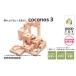 դ뤵Ǽ ߡ    塦2025ŸѤ߾夲ӡžcoconos3ΰǳڤͷӤʤؤѥ