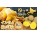 fu.... налог овощи вид картофель Hokkaido . тент блок in ka. ...5kg картофель . гора сельское хозяйство место {9 месяц средний .-3 месяц сверху . примерно отгрузка предположительно } клубень jagaimo овощи бесплатная доставка Hokkaido...