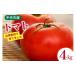 fu.... налог овощи вид помидор Yamanashi префектура центр город помидор центр город производство помидор 4kg 18~24 шт ....... Yamanashi префектура центр город 21470758 овощи ........ Rico булавка 2...