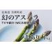 fu.... налог овощи вид спаржа Hokkaido прекрасный . блок . мир 9 год производство предшествующий предварительный заказ иллюзия. aspala есть перевод 1kglas noble . мир 9 год производство Hokkaido прекрасный . блок книга@ гора сельское хозяйство место зеленый as...