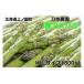 fu.... налог овощи вид спаржа Hokkaido сверху no страна блок 2026 год весна отправка меч . сельское хозяйство .. утро .. весна aspalaM~L(800g) зеленый aspala утро .. сельское хозяйство дом прямая поставка свежий...