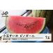 fu.... налог арбуз Yamagata префектура гора сторона блок предшествующий предварительный заказ сельское хозяйство торговец поддержка . для бытового использования 2026 год Yamagata префектура производство маленький шар арбуз Pinot девушка 1 шар (2kg и больше )... арбуз запад . фрукты овощи перевод ....