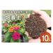 �ӂ邳�Ɣ[�� �ԁE�c�� �{�茧 �����s �|�{�y 10L 1�� ��n���� �{�茧 �����s 452061025 �y�� �ӂ��ӂ� �A�� �ϗt�A�� �K�[�f�j���O ���| �ƒ�؉� �� �|�{ �c