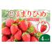 fu.... tax strawberry Wakayama prefecture .. city agriculture house direct delivery large grain ...... strawberry 4 pack (2 month limitation ) delivery un- possible region Hokkaido Okinawa remote island limited time . strawberry cake te The...