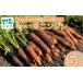 fu.... налог овощи вид морковь Saitama префектура Tokorozawa город морковь ..(.....) 5kg | морковь морковь человек Gin Carrot ..... овощи зеленый желтый цвет овощи салат Мали nes...