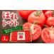 fu.... налог овощи вид помидор Gifu префектура .. город высота сахар раз [.. помидор ]3kg первоклассный мини помидоры сахар раз 10 раз и больше | помидор ... мини помидоры фрукты помидор овощи ......