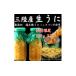 fu.... налог морской еж Iwate префектура . старый город предшествующий предварительный заказ Iwate префектура .. длина свежая рыба прямая поставка рейс бутылка ..150g× 2 шт myou van не использование сырой ..1554863
