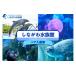 fu.... налог входной билет * пригласительный билет Tokyo Metropolitan area Shinagawa район .... аквариум пара входить павильон талон 