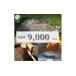 դ뤵Ǽ ٥Ȥå Ų  Ų դο꥾ դοResortsΥΥȤǤȤ뾦ʷ9,000ʬ 1571048