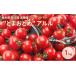 fu.... налог овощи вид помидор Tochigi префектура олень болото город Tochigi префектура олень болото производство высота сахар раз фрукты помидор ~.....~a Lulu 1kg овощи помидор . толщина устрица nma ферма ........