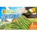 fu.... налог овощи вид спаржа Hokkaido .. другой блок 2026 год 5 месяц сверху . после последовательный отправка зеленый спаржа 1kg (S|. земля культивирование ){.. другой блок } Kubota сельское хозяйство .aspala...