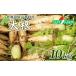 fu.... налог овощи вид дайкон Hokkaido .. столица . дайкон 10kg дайкон дайкон online ....... налог Hokkaido .. столица овощи корнеплоды прямая поставка от производителя свежий .. длина большой...