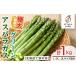 fu.... налог овощи вид спаржа Hokkaido . другой город B7109 специальный культивирование * время ограничено Hokkaido . другой город производство очень толстый зеленый aspala(L~3L размер смешивание *1kg) 2026 год 5 месяц после последовательность...