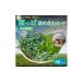 fu.... налог комплект *... Kyoto (столичный округ) юг . город No.5334-0234 рептилии для есть перевод овощи . сезон. лист .. набор 60 размер 