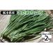 fu.... налог овощи вид лук порей Tochigi префектура Sakura город Tochigi префектура производство предубеждение чесночный лук 100g×20 пачка l Sakura город ... овощи местного производства 
