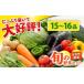 fu.... налог комплект *... Kumamoto префектура .. город ... .. . овощи комплект 15~16 товар в общем фирма . юридическое лицо Classy no... овощи . сезон ... местного производства .. город случайный ....