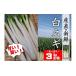 fu.... налог овощи вид лук порей Ooita префектура . после takada город предшествующий предварительный заказ прямая поставка от производителя * свежий ... прекрасный тест .. белый лук-батун (3kg передний и задний (до и после) ) запад Япония верх Class. производство земля * Ooita префектура . после takada город производство широкий большой...