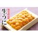 fu.... налог морской еж Hokkaido корень . город G-40001ezo морской еж hemicentrotus примерно 60~70g×1.11 месяц средний . после отправка 