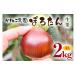 �ӂ邳�Ɣ[�� �ʕ��� �I ��錧 �}�Ԏs  2026�N��s�\�� ���I 2kg 4L�T�C�Y �ۂ낽�� �I ���� �N�� ���˂��_���̐��I ���Y ���Y�I �a�I �M�t�g �v���[���g ���c