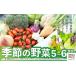 fu.... налог комплект *... Akita префектура большой павильон город сезон. овощи комплект 5~6 вид 70P3207 | Tohoku Akita большой павильон овощи свежий сельское хозяйство производство предмет сельское хозяйство дом сельское хозяйство дом прямая поставка лук-батун lettuce brokoli...