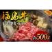 դ뤵Ǽ  Ƥ ʡ縩 Į ʡΤƤå 500g 2  µ µ  F6U-300