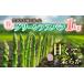 fu.... налог овощи вид спаржа Nagano префектура восток . город предшествующий прием . гора JAPAN... мягкость сырой .. почва ....[ весна. зеленый aspala]1kgl Nagano префектура 2026 год весна отправка 