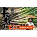 fu.... налог овощи вид лук порей Iwate префектура . камень блок Iwate префектура производство высшее приятный . земля имеется длина лук порей 2kg стандарт количество примерно 20шт.@ для бытового использования высота . сельское хозяйство .| длина лук-батун длина . лук порей лук-батун . белый лук порей белый лук-батун...