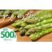 fu.... налог овощи вид спаржа Kumamoto префектура . плата город предшествующий предварительный заказ Kumamoto префектура . плата город производство спаржа 500g свежий aspala овощи ....2026 год 4 месяц сверху ... последовательный отправка 