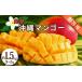 fu.... налог манго Okinawa префектура ... город Okinawa префектура производство .. для манго 1.5kg предшествующий предварительный заказ 2027 год отправка манго . толщина ..ju-si- Nankoku фрукты фрукты прямая поставка от производителя p...